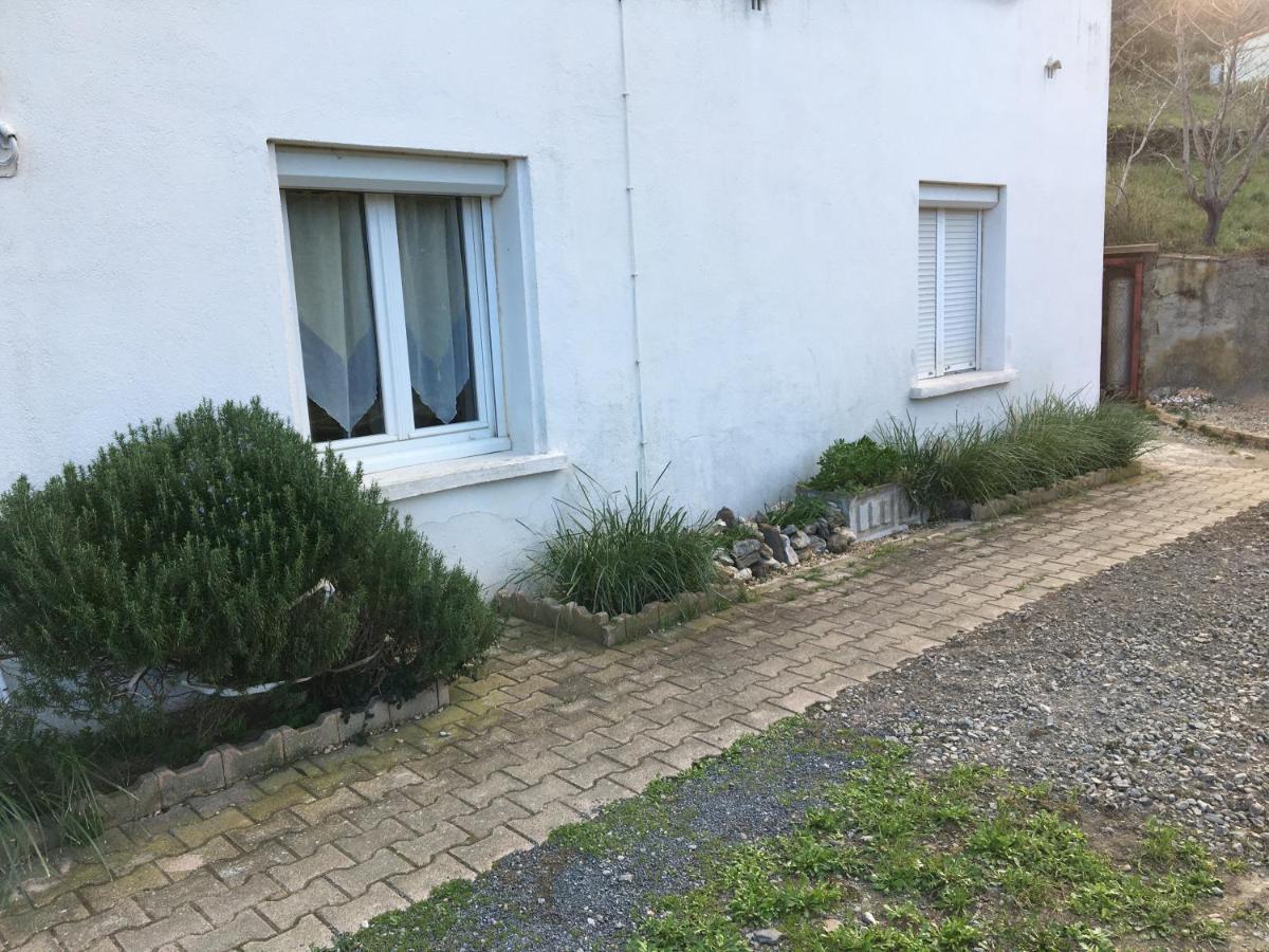 Appartement T1Bis Dans Un Mas Port Vendres Buitenkant foto